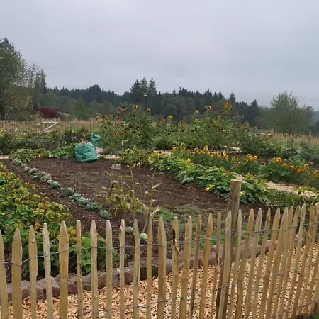 Couette-café Merisier Dans Ferme Avec étang Privé Au Coeur De La Région Des Mille étangs, Faucogney-et-la-Mer