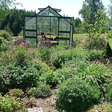 Merisier Dans Ferme Avec étang Privé Au Coeur De La Région Des Mille étangs, Couette-café *